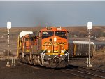 BNSF 8116 